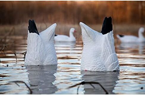 Higdon Outdoors Magnum Goose Butt Decoys for Waterfowl Hunting | 2 Pack | Canada/Snow/Specklebelly in Saudi Arabia