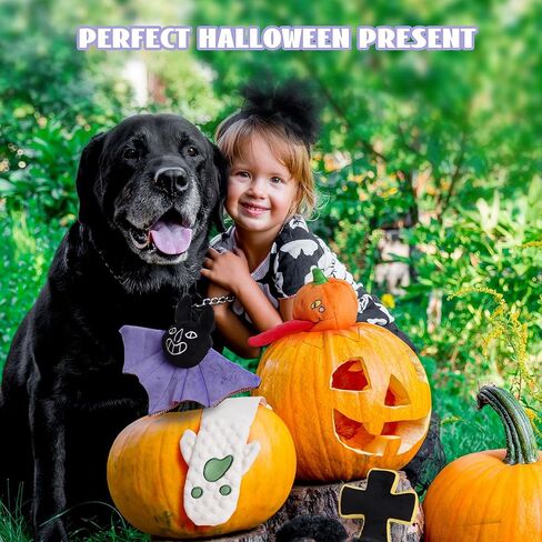 Nocciola 6 قطع من ألعاب الهالوين للكلاب التي تصدر أصواتًا للمضغين العدوانيين، ألعاب للكلاب من القطيفة المتينة، مجموعة ألعاب للكلاب الصغيرة والكبيرة المحشوة in Kuwait