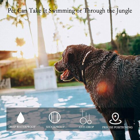 حامل طوق الكلب المقاوم للماء لـ Tile Mate 2024/ Mate 2022 Tracker ، حالة السيليكون الناعمة المفقودة لقلادة Cat Pet ، وملحقات الغطاء الوقائي لمكتشف Tile Tracker (أسود/ أسود) in Kuwait