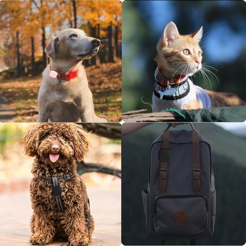 حامل طوق الكلب المقاوم للماء لـ Tile Mate 2024/ Mate 2022 Tracker ، حالة السيليكون الناعمة المفقودة لقلادة Cat Pet ، وملحقات الغطاء الوقائي لمكتشف Tile Tracker (أسود/ أسود) in Kuwait