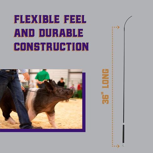 Weaver Livestock Basic Pig Show Whip with Chrome Tipped Handle, Hog Livestock Whip for Show Ring Competition, Leather Pig Whips for Showing in Kuwait