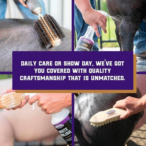 Weaver Livestock Basic Pig Show Whip with Chrome Tipped Handle, Hog Livestock Whip for Show Ring Competition, Leather Pig Whips for Showing in Kuwait