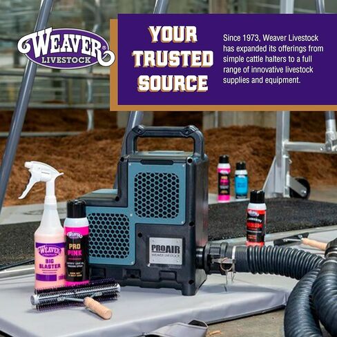 Weaver Livestock Basic Pig Show Whip with Chrome Tipped Handle, Hog Livestock Whip for Show Ring Competition, Leather Pig Whips for Showing in Kuwait