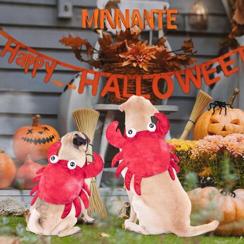 زي سرطان البحر للكلاب الأليفة، فستان تنكري للهالوين، ملابس تنكرية لطيفة لعطلة الحيوانات الأليفة، ملابس تنكرية للهالوين، زي ذو ساقين للكلاب الصغيرة والمتوسطة، زي الهالوين للكلاب المضحكة لحفلات عيد الميلاد التنكرية in Kuwait