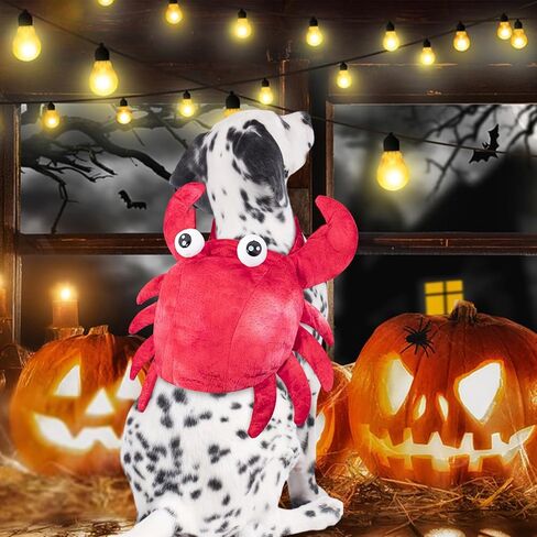 زي سرطان البحر للكلاب الأليفة، فستان تنكري للهالوين، ملابس تنكرية لطيفة لعطلة الحيوانات الأليفة، ملابس تنكرية للهالوين، زي ذو ساقين للكلاب الصغيرة والمتوسطة، زي الهالوين للكلاب المضحكة لحفلات عيد الميلاد التنكرية in Kuwait