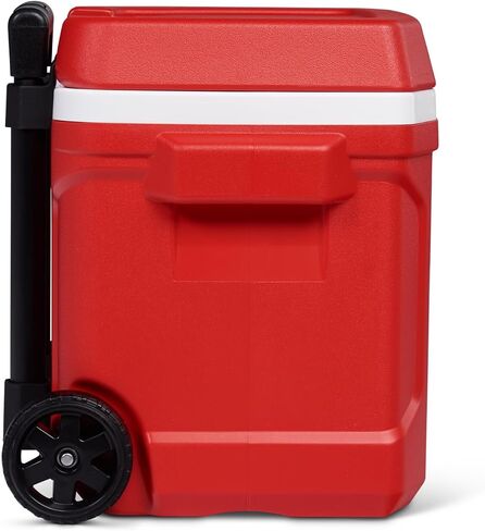 Igloo Blue Profile II 60 Roller in Saudi Arabia