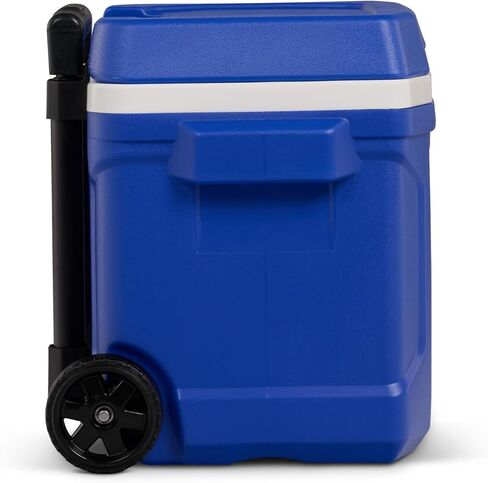 Igloo Blue Profile II 60 Roller in Saudi Arabia
