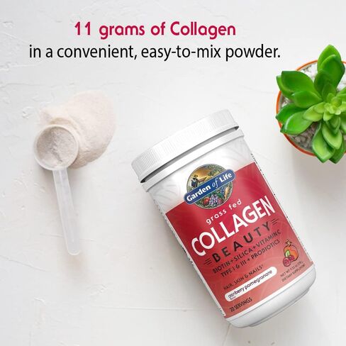 Garden of Life Strawberry Lemonade Grass Collagen ، 9.52 أونصة in Kuwait