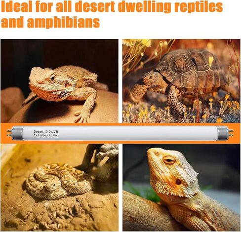T5 مصابيح الزواحف مجموعة التحرير والسرد 16 واط ، 12 بوصة T5 ضوء الزواحف UVB ، T5 10.0 UVB الإضاءة الزواحف ، ضوء الزواحف الصحراء للسحلية ، التنين الملتحي ، السلحفاة in Kuwait
