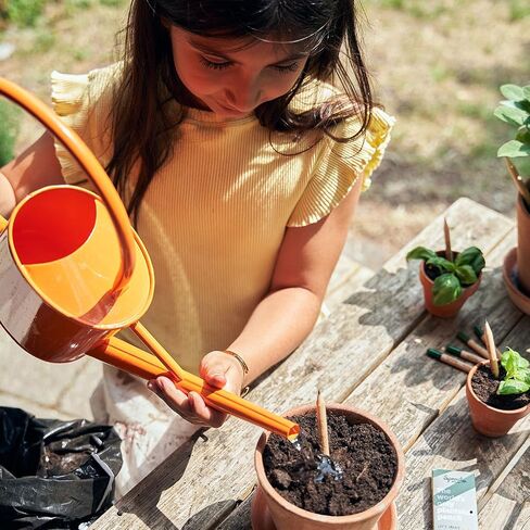 أقلام رصاص بعلبة خشبية من SproutWorld | طبعة المعلم | أقلام رصاص خشبية قابلة للزراعة من الجرافيت مشحذ مسبقًا من HB مع بذور الزهور والأعشاب والخضروات | هدية للمعلمين والأطفال المبدعين والطلاب | 32 عبوة in Kuwait