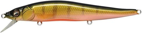 Megabass Vision 110 in Saudi Arabia