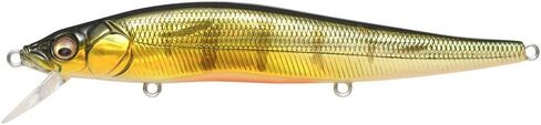 Megabass Vision 110 in Saudi Arabia