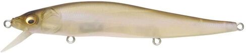 Megabass Vision 110 in Saudi Arabia