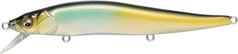 Megabass Vision 110 in Saudi Arabia