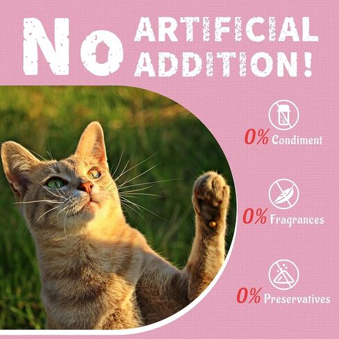 13.4 OZ Cat Treats, Cat Grass Treats, Natural Salmon Flavor Healthy Cat Snacks, Training Biscuits Treats for Cats, Catnip for Cats, Dental and Hairball Control Treats in Kuwait