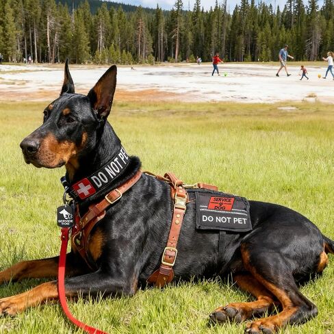 Emotional Support Dog Patches ESA Dog ID Tags Easily Attach to Collar, Harness (Small-1.18 x 4.33) in Kuwait