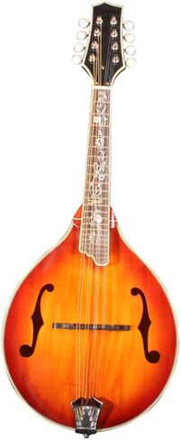 1Pc Mandolin Chord Chart Plate Paper Diagram Practice Guide for Beginners Lightweight Mandolin Training Tool Chords Reference in Saudi Arabia