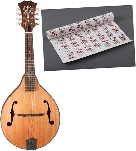 1Pc Mandolin Chord Chart Plate Paper Diagram Practice Guide for Beginners Lightweight Mandolin Training Tool Chords Reference in Saudi Arabia