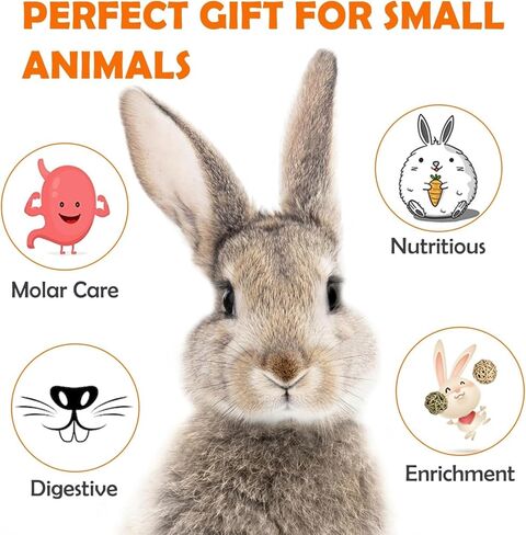 Sofier Rabbit Toys Bunny/Guinea Pig Toys Natural Timothy Hay Hamster Toys for Teeth Handmade Chews and Treats Apple Wood Sticks Chinchilla Rat in Kuwait