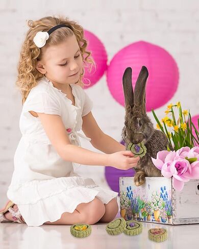 Sofier Rabbit Toys Bunny/Guinea Pig Toys Natural Timothy Hay Hamster Toys for Teeth Handmade Chews and Treats Apple Wood Sticks Chinchilla Rat in Kuwait