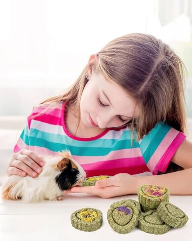 Sofier Rabbit Toys Bunny/Guinea Pig Toys Natural Timothy Hay Hamster Toys for Teeth Handmade Chews and Treats Apple Wood Sticks Chinchilla Rat in Kuwait