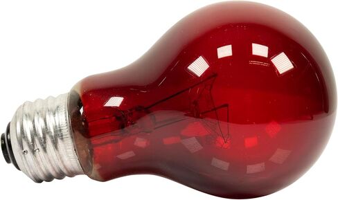 Zoo Med Nightlight Red Reptile Bulb, 40 Watts in Kuwait