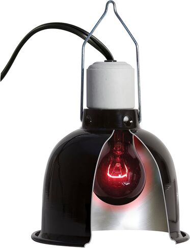 Zoo Med Nightlight Red Reptile Bulb, 40 Watts in Kuwait