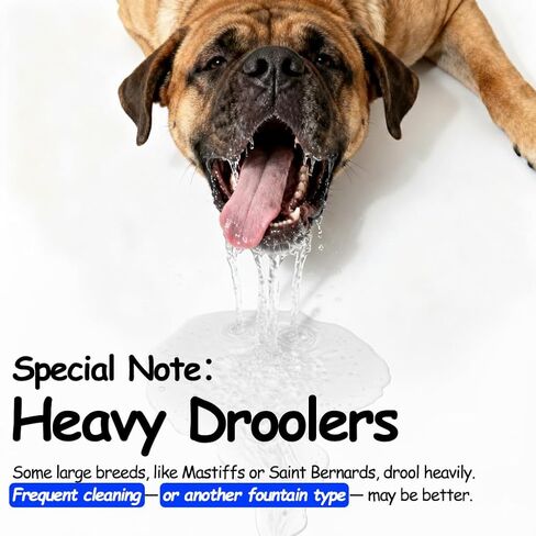 (4 حزمة) مرشحات نافورة المياه للحيوانات الأليفة استبدال ، خرطوشة مرشح لـ Lesotc Dog Water Fountain/Dog Water Bowl Suitener ، عالية الكفاءة وأكثر أمانًا وأنظفًا. in Kuwait