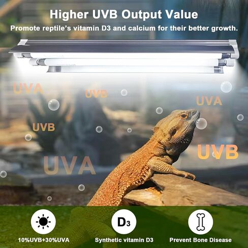 T5 10.0 UVB Reptile Light Bulb 8W 12 Inch, Desert Reptile UVB Bulb 8 Watt for Lizards, Bearded Dragons, Chameleons, Turtles, Tortoises 3 Pack in Saudi Arabia