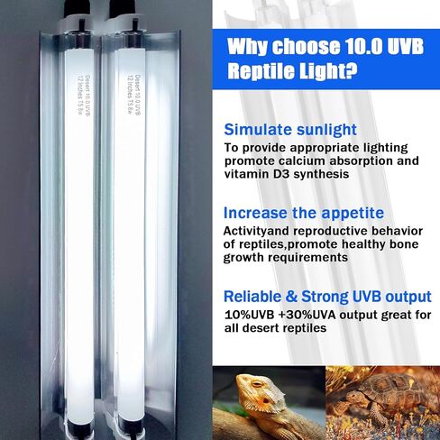 T5 10.0 UVB Reptile Light Bulb 8W 12 Inch, Desert Reptile UVB Bulb 8 Watt for Lizards, Bearded Dragons, Chameleons, Turtles, Tortoises 3 Pack in Saudi Arabia