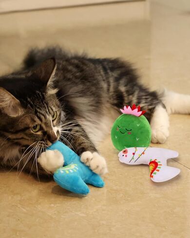 CiyvoLyeen 6Pcs Birthday Themed Catnip Toys Cat Birthday Gift Kitten Interactive Toys for Cat Lover Cake Crown Fish Soft Plush Catmint Pet Supplies Kitty Chew Kick Toys in Kuwait