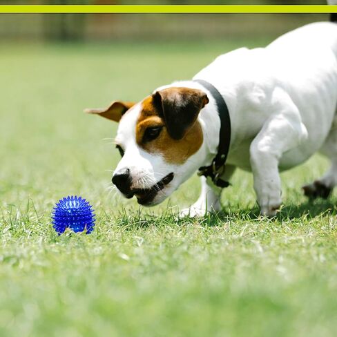 Petsport Gorilla spiky Ball - ألعاب الكرة الشاسعة للكلاب والجرى ، لعبة تفاعلية للملل ، معتمدة من غير سامة ، داخلية وخارجية - 4 "(حزمة 3) in Kuwait