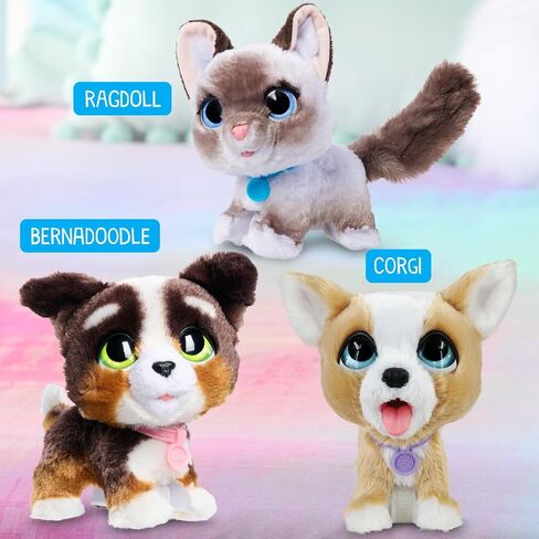 furReal Newborns Kitty Interactive Pet, Small Plush Stuffed Animal Cat with Sounds and Movement, Kids Toys for Ages 4 Up by Just Play in Saudi Arabia