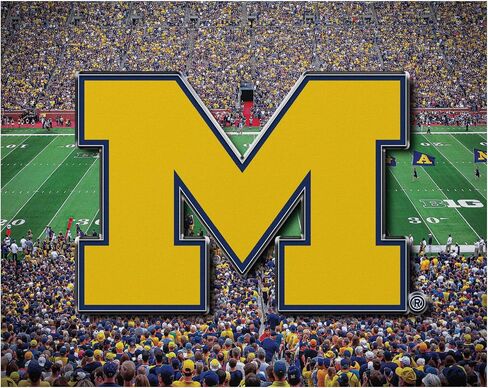لافتة جدارية من القماش من FOCO Michigan Wolverines NCAA in Saudi Arabia