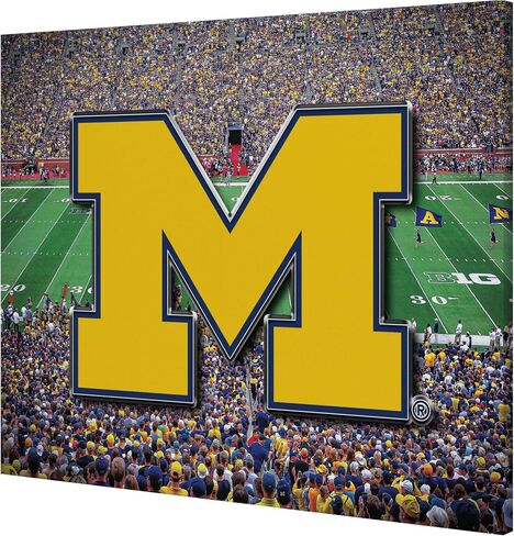 لافتة جدارية من القماش من FOCO Michigan Wolverines NCAA in Saudi Arabia
