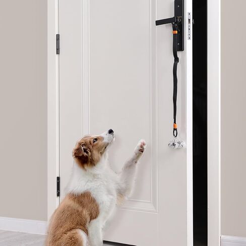 Puppy Bell Doorbells with Hanging Ring, Dog Bells for Potty Training, Can attach to doorkob or Anywhere Near the Door, Length and Height Adjustable, Louder Bigger Jingle Bells for Puppies (Black) in Saudi Arabia
