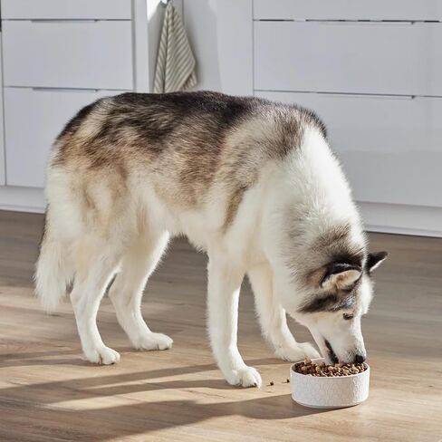 Open Farm RawMix Grain-Free Front Range Recipe for Dogs, Includes Kibble, Bone Broth, and Freeze Dried Raw, Inspired by The Wild, Humanely Raised Protein and Non-GMO Fruits and Veggies, 20 lb in Kuwait