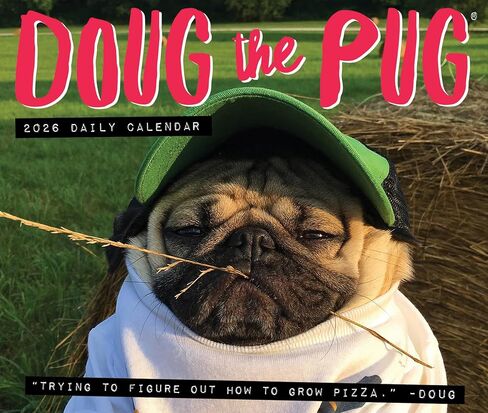 Willow Creek Press Doug the Pug -USA Daily 2025 Box/Desk Calendar (5.86" x 4.72") in Saudi Arabia