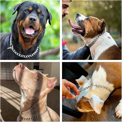 Chain Dog Choke Collar for Large Dogs,Heavy Chain Dog Metal Training Collars, Adjustable Metal Necklace Martingale Puppy Collars for XXS XS Small Medium Large Big XL Breed Dogs, Silver L in Kuwait