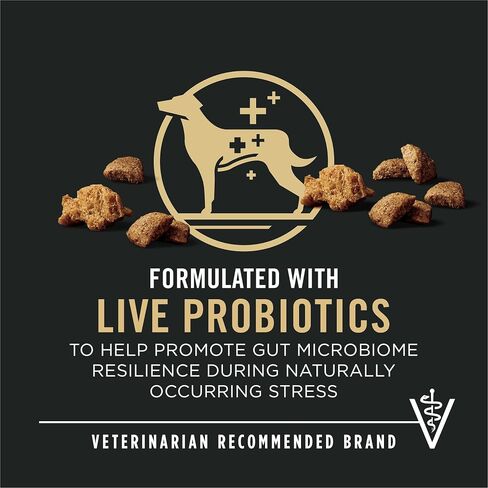 Purina Pro Plan Complete Essentials Shredded Blend Salmon and Rice Dog Food Dry Formula with Probiotics for Dogs - 15 lb. Bag in Saudi Arabia