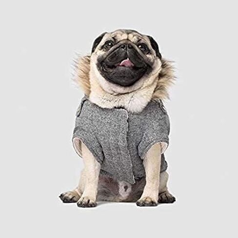 Canada Pooch Winter Dog Coat Water-Resistant Insulated Dog Jacket Faux-Fur Trim Dog Parka Coat for Dogs - Army Green, Size 10 in Kuwait