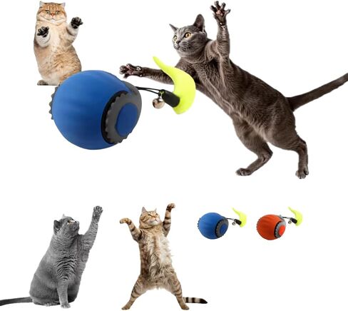 كرة لعبة Cat Interactive - لعبة قطة قابلة لإعادة الشحن التلقائي ، ومطاردة الكرة للقطط والقطط الداخلية ، وذيل الريش ، ولعب القط ذاتيا ، وسرعة سريعة وبطيئة (أزرق) in Kuwait