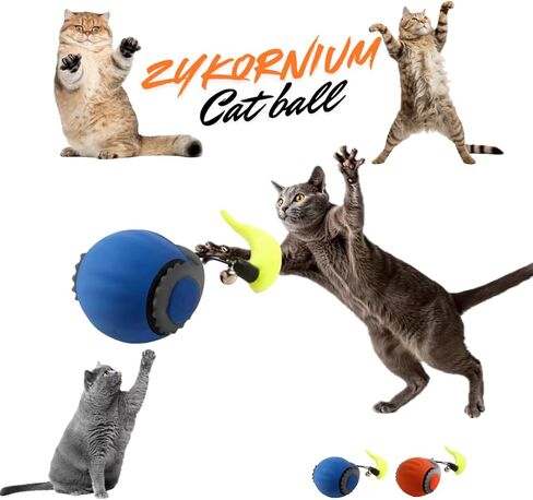 كرة لعبة Cat Interactive - لعبة قطة قابلة لإعادة الشحن التلقائي ، ومطاردة الكرة للقطط والقطط الداخلية ، وذيل الريش ، ولعب القط ذاتيا ، وسرعة سريعة وبطيئة (أزرق) in Kuwait