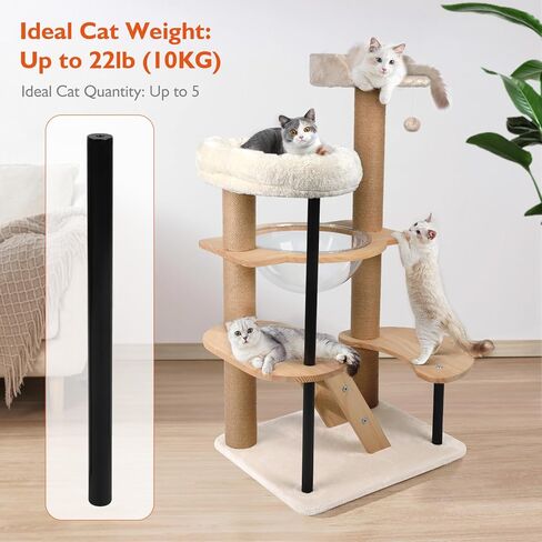 Cat Wall Furniture Shelves - 5 Pcs Wall-Mounted Cat Furniture, Including 2 Cat Steps, 1 Perches, 1 Cat Hammock, 1 Sisal Cat Scratcher Post, DIY Cat Walls Playground for Large Cats in Kuwait