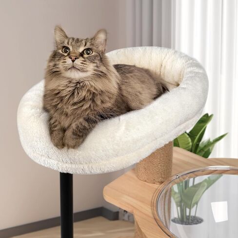 Cat Wall Furniture Shelves - 5 Pcs Wall-Mounted Cat Furniture, Including 2 Cat Steps, 1 Perches, 1 Cat Hammock, 1 Sisal Cat Scratcher Post, DIY Cat Walls Playground for Large Cats in Kuwait