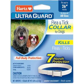هارتز Ultraguard Flea & Tick Collar للكلاب والجرو ، و 7 أشهر من الحماية والوقاية من القراد لكل طوق ، وبيضاء ، وبلغت تصل إلى 20 بوصة الرقبة in Kuwait