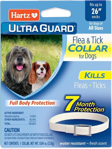 هارتز Ultraguard Flea & Tick Collar للكلاب والجرو ، و 7 أشهر من الحماية والوقاية من القراد لكل طوق ، وبيضاء ، وبلغت تصل إلى 20 بوصة الرقبة in Kuwait