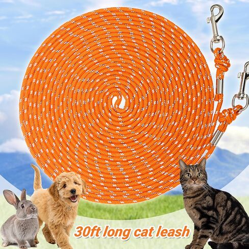 قطة قطة عاكسة ، 30 قدمًا ، دليل على المشي ، ساحة الرصاص الطويلة ، ومقود الموسع ، يلعب في الهواء الطلق للقطط جرو هريرة الكلاب الصغيرة أرنب الحيوانات الصغيرة in Kuwait