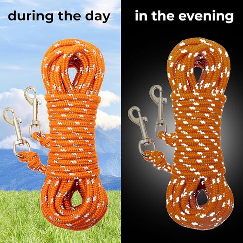 قطة قطة عاكسة ، 30 قدمًا ، دليل على المشي ، ساحة الرصاص الطويلة ، ومقود الموسع ، يلعب في الهواء الطلق للقطط جرو هريرة الكلاب الصغيرة أرنب الحيوانات الصغيرة in Kuwait