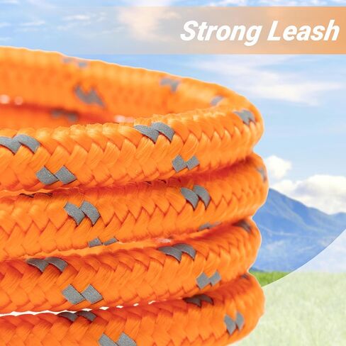 قطة قطة عاكسة ، 30 قدمًا ، دليل على المشي ، ساحة الرصاص الطويلة ، ومقود الموسع ، يلعب في الهواء الطلق للقطط جرو هريرة الكلاب الصغيرة أرنب الحيوانات الصغيرة in Kuwait